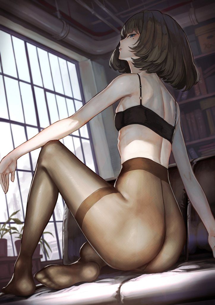 sample pantyhose image