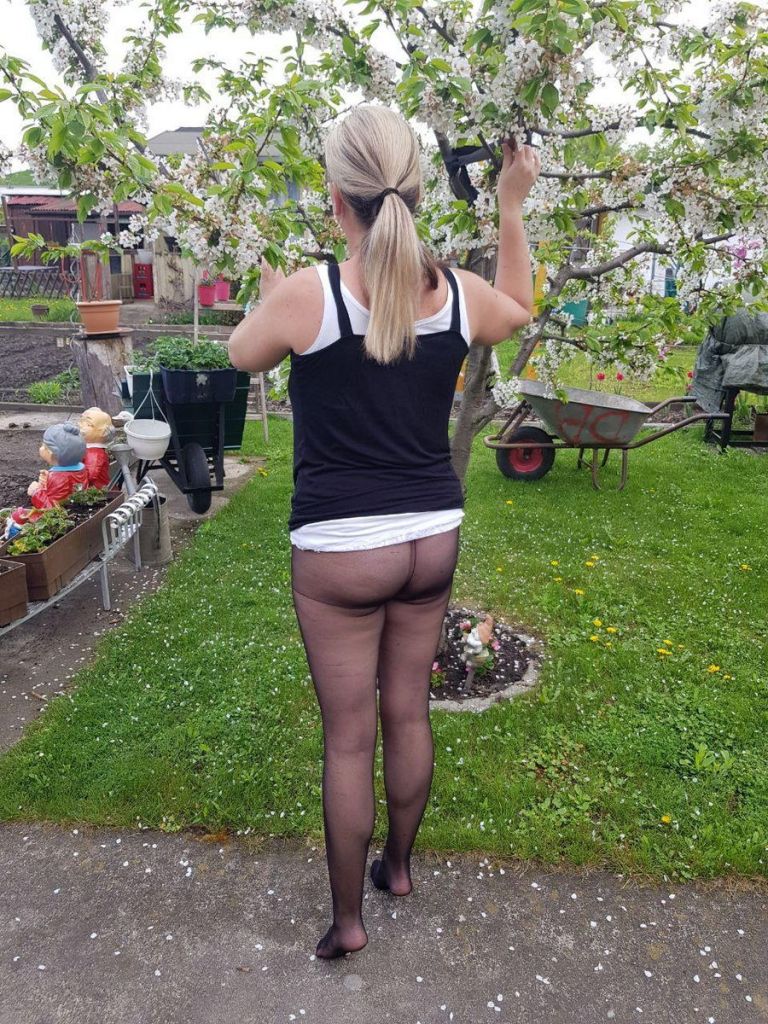 sample pantyhose image